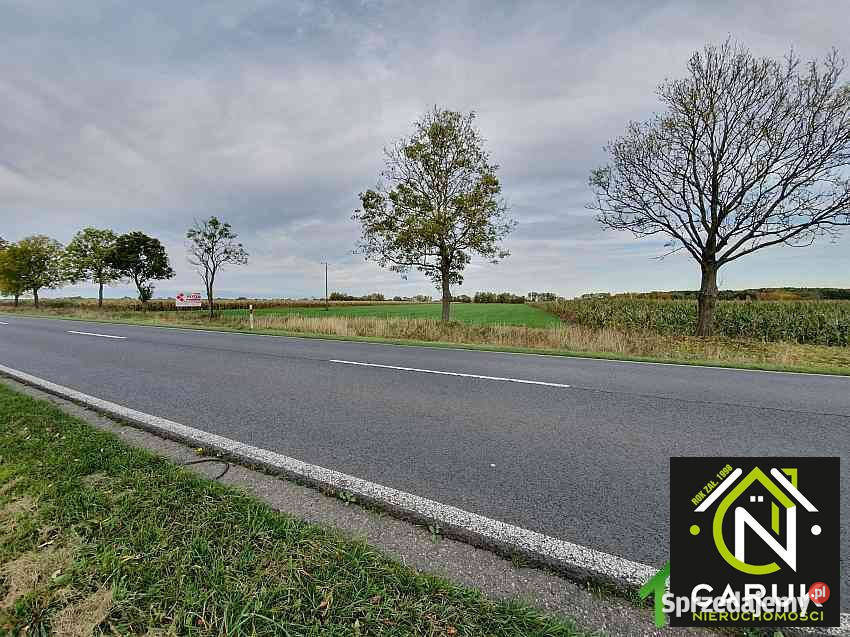 Ziemia do sprzedania 6500 metrów Dziwnówek Kamień Pomorski