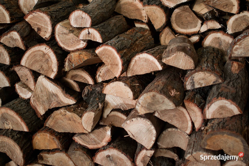 Drewno kominkowe opał dąb buk brzoza Gniezno dolnośląskie Wrocław sprzedam