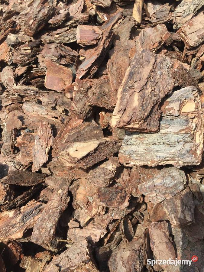 Kora Sosnowa GRUBA Frakcja 10100mm