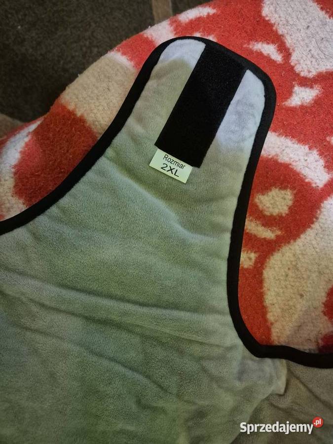 Ubranie psa mazowieckie Piaseczno