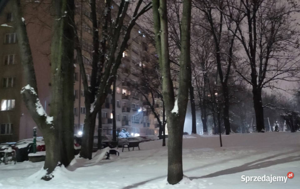 Kawalerka Mazowieckiej w Krakowie 24m2 Kraków