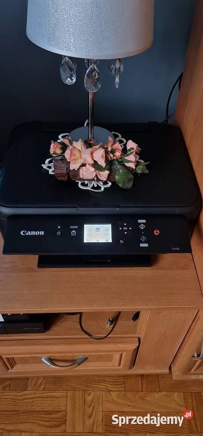 Drukarka Canon Drukarki i skanery Orzesze