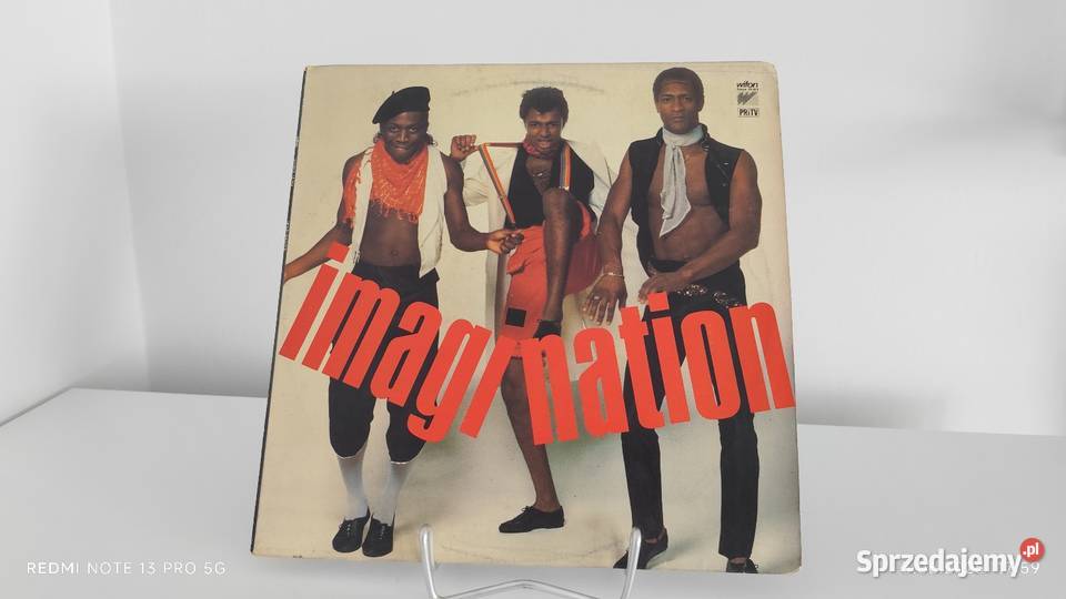 Płyty Winylowe Duża ilość Wiązów