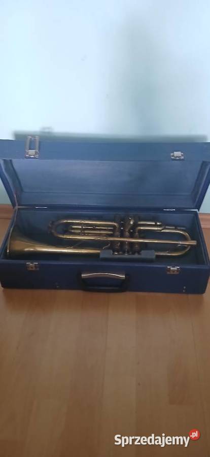 Stara Polska Trąbka firmy WFIDIP Polmuz z lat 50 Kraków sprzedam