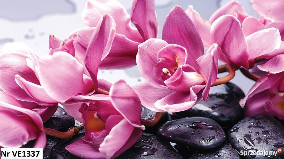 Tapeta fototapeta Storczyki 3D 3 wzory wielkopolskie Leszno