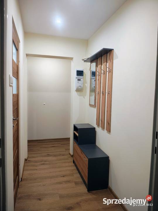 Wynajmę mieszkanie Dąbrowa 3 piętra i więcej
