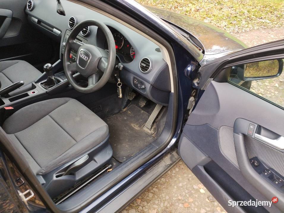 A3 8P 19tdi 105 niebieski Jasło