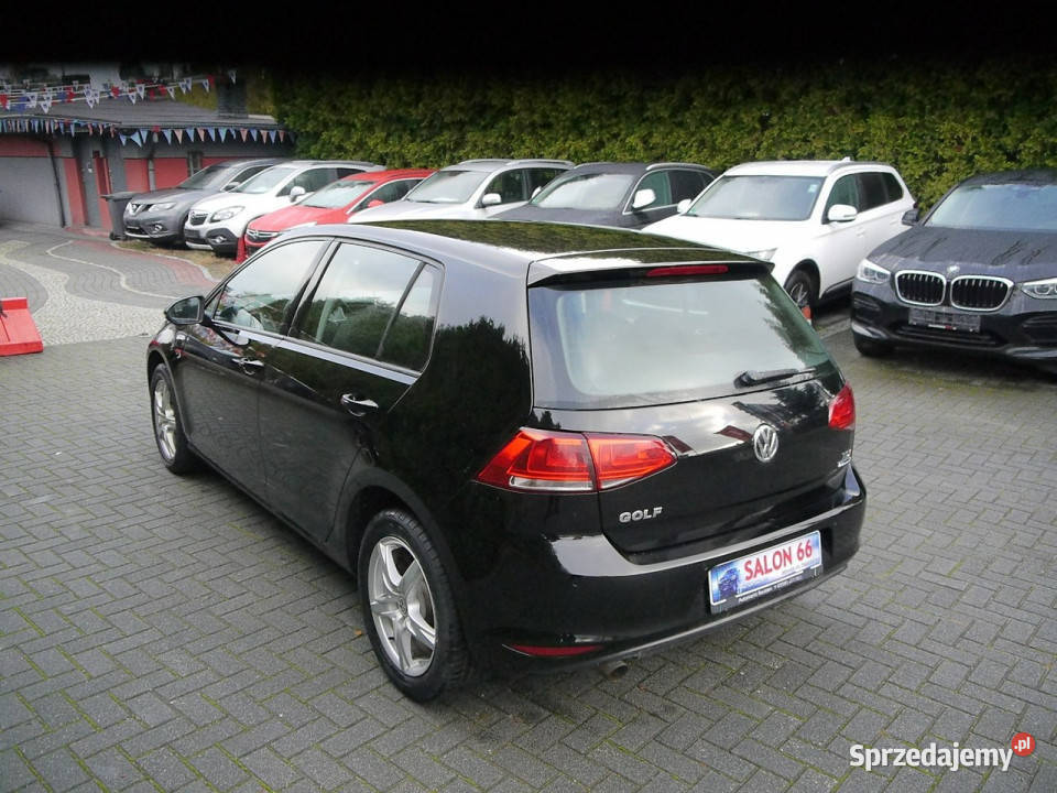 Volkswagen Golf 16tdi 170 Stan b 100bezwypadkowy diesel Częstochowa
