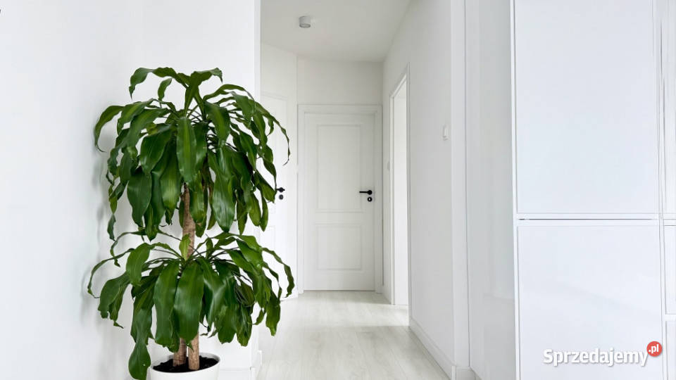 Na sprzedaż 3pokojowe mieszkanie 67 m z dwoma Różyny