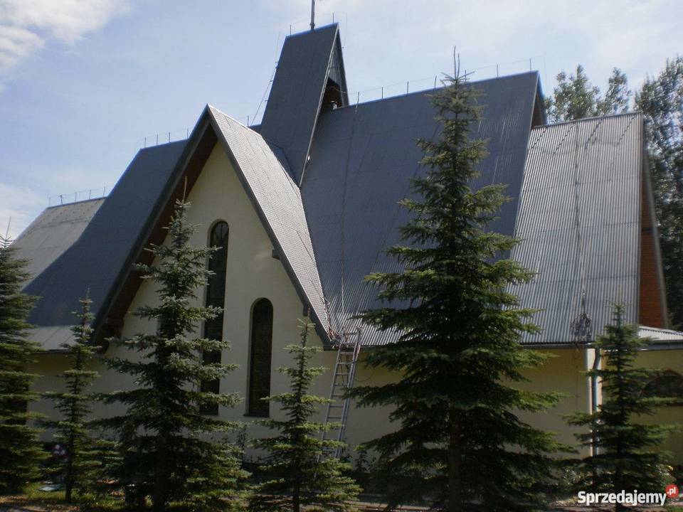 Profesjonalne Malowanie Dachow usługi budowlane