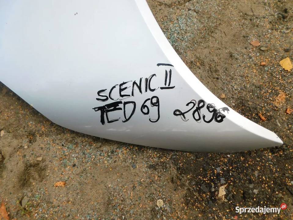 scenic II maska kolor TED69 2896 WYSYŁKA