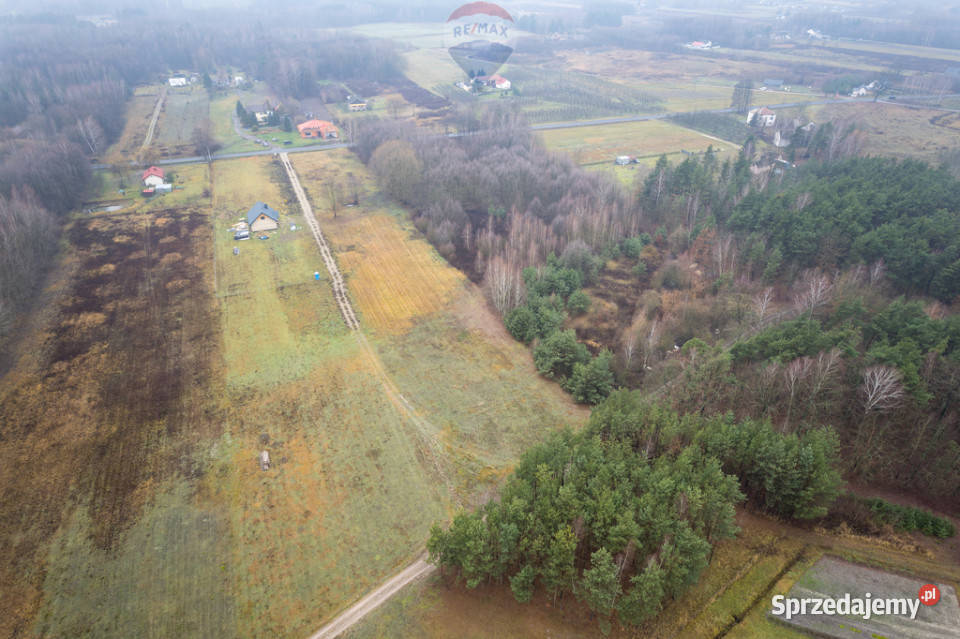 Działa Gaj Żelechowski