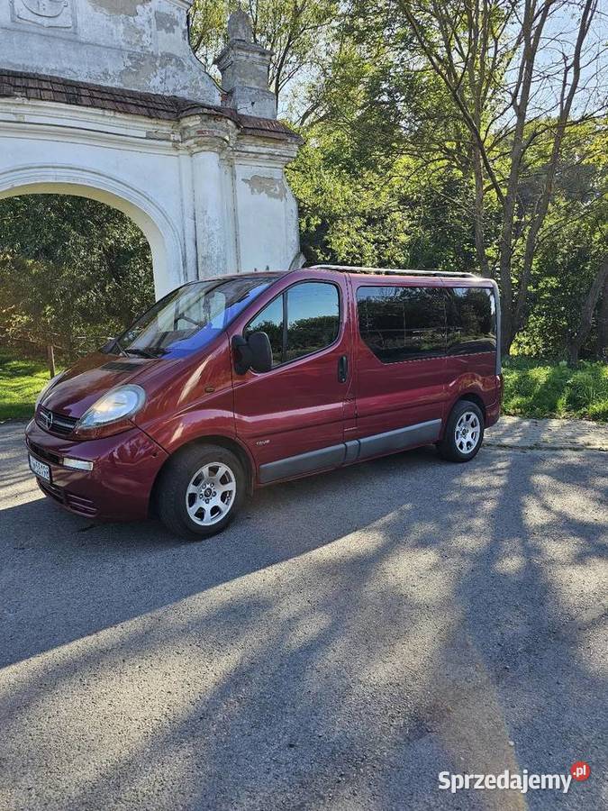 Opel Vivaro 19 Mełgiew