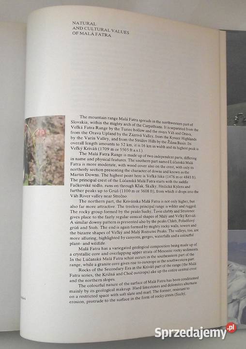 MŁ Mała Fatra Kultura i Rozrywka Warszawa