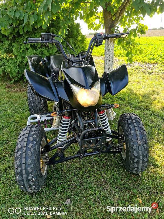 Quad EGL 250 REJESTRACJA ALUSY Włocławek sprzedam