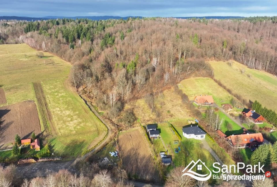 Grunt 2484m2 Orelec Sprzedaż