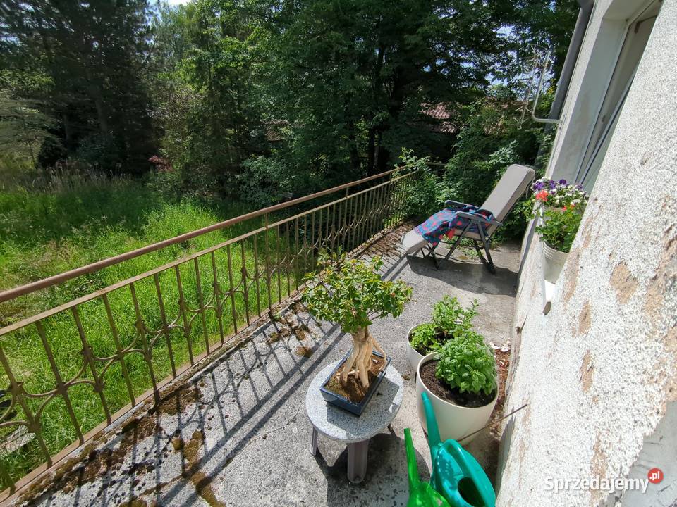 Syndyk sprzeda nieruchomość gruntową zabudowaną 2800m2