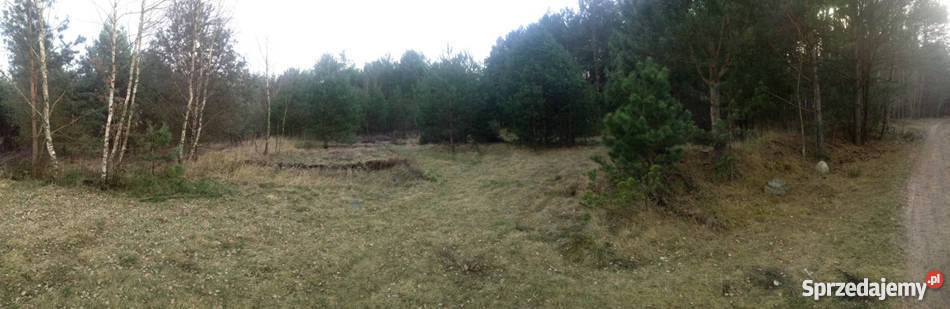 Sprzedam działkę budowlaną w lesie Bory kujawsko-pomorskie Mszano