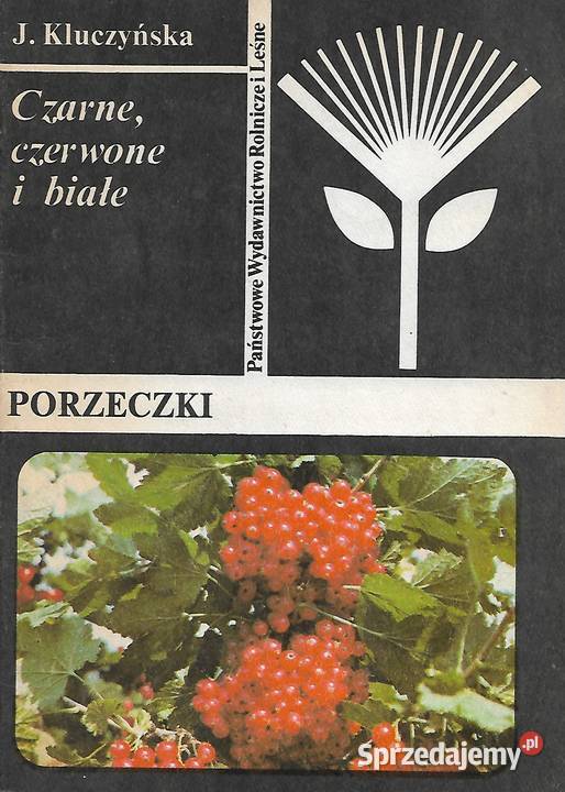 Porzeczki J Kluczyńska Puławy sprzedam