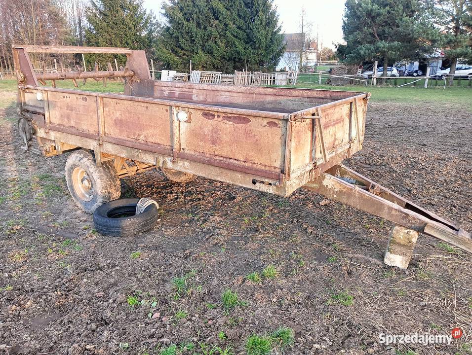 Rorzutnik obornika Pozostałe łódzkie Brzeziny