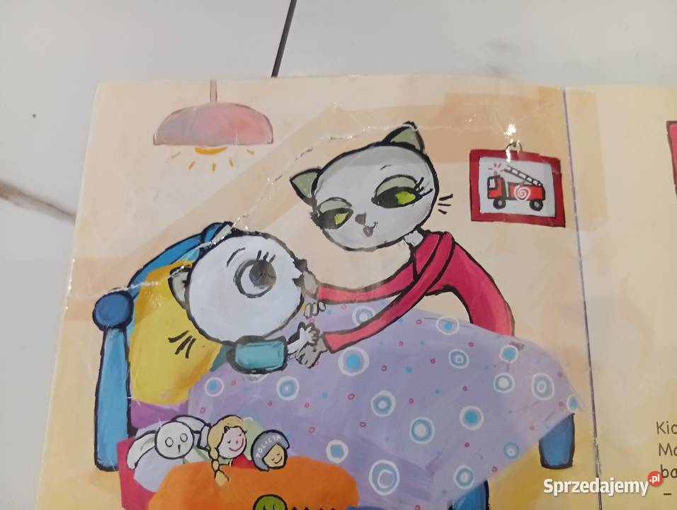 Książki Kicia Kocia