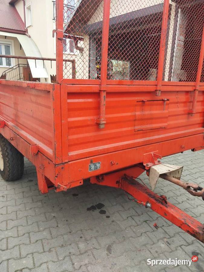 Rozrzutnik agrmet górski małopolskie Jordanów