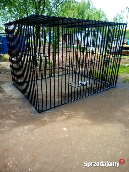 Woliery Kojce Pichorowice