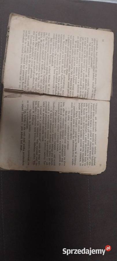 Robinzon Amerykański