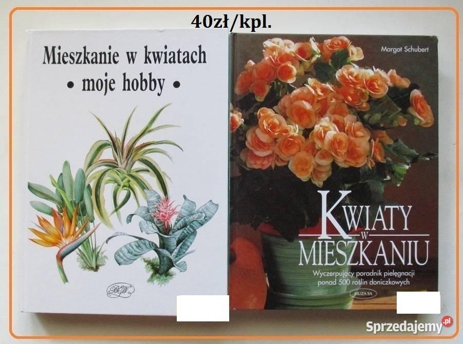 Mieszkanie w kwiatach Kwiaty w mieszkaniu uprawa dom i ogród łódzkie Łódź