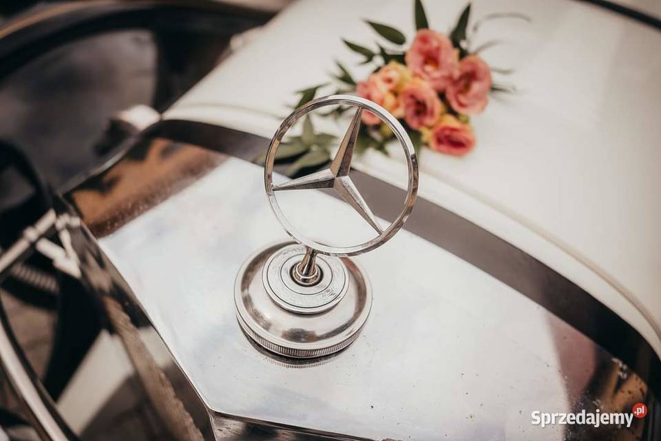 Sprzedam Retro Osielec