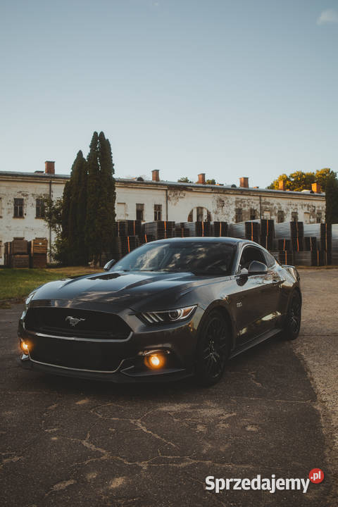 Wynajem Wypożyczalnia Samochodów Ford Mustang GT Wynajem pojazdów Warszawa