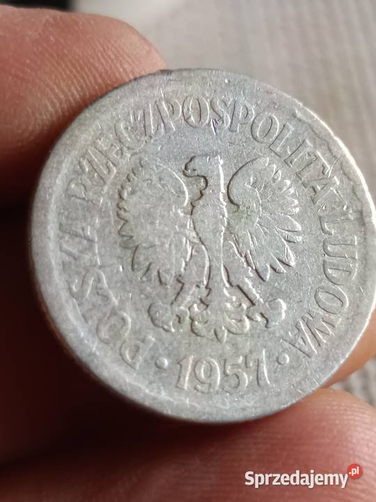 Sprzedam 1 zloty 1957 mmmmmm Chełm sprzedam