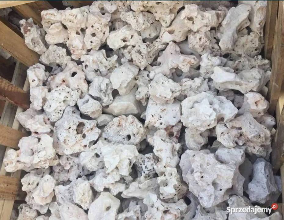 WAPIEŃ FILIPIŃSKI Biała Skała do Akwarium Malawi sprzedam