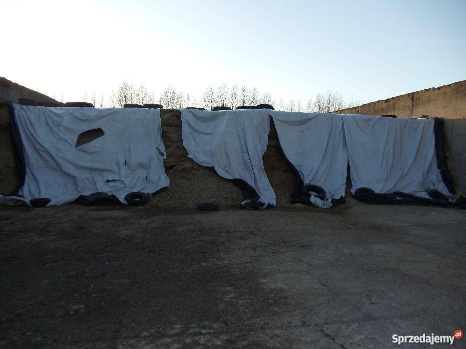 Kiszonka z kukurydzy Sprzedam Połczyn-Zdrój