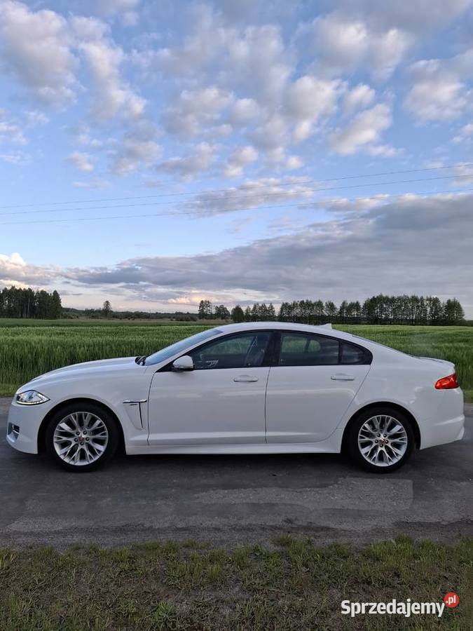 Auto do ślubu Jaguar XF Biały Alpejski Wynajem pojazdów Śluby, wesela, przyjęcia Parczew
