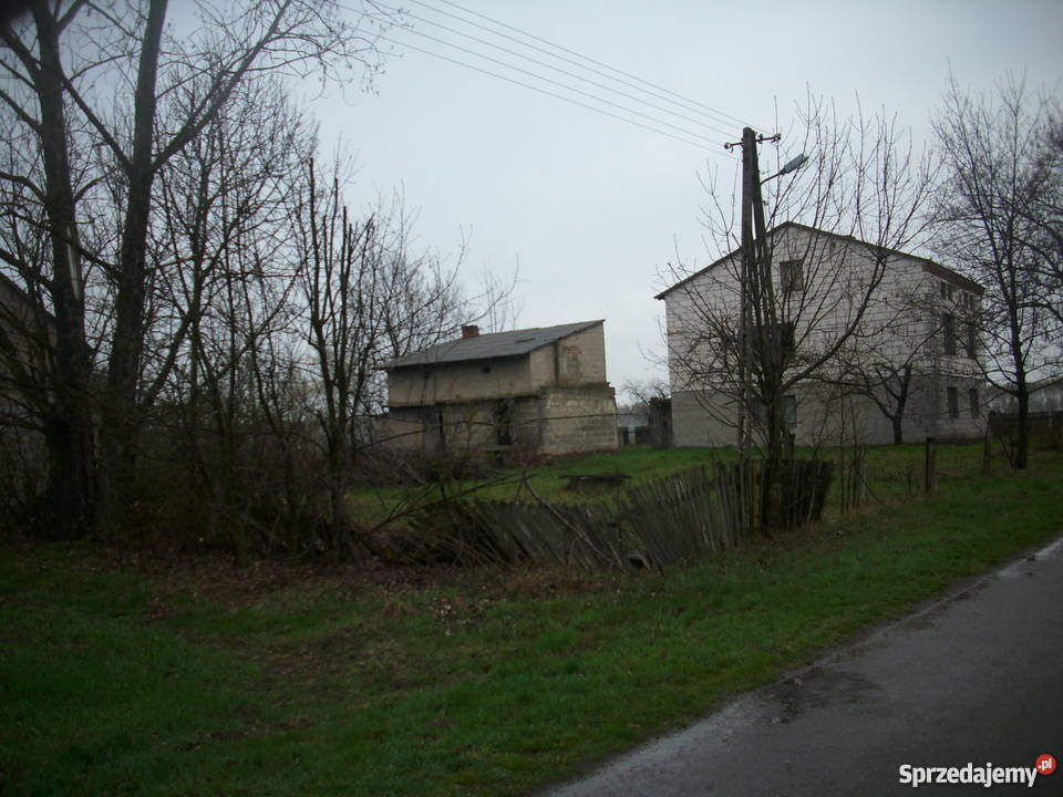 gospodarstwo rolne Kolonia Krępa sprzedam