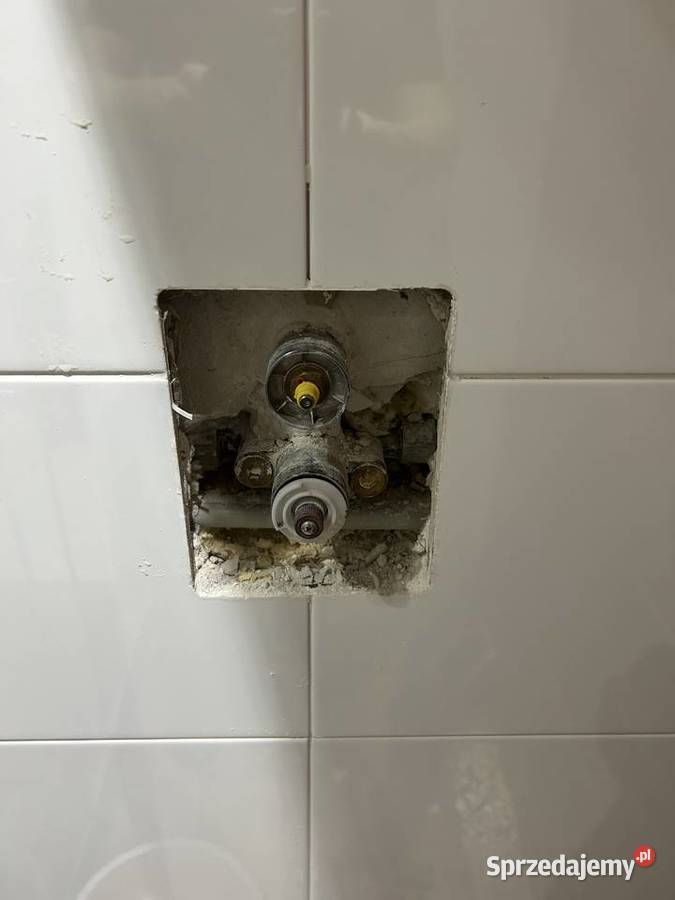 Serwis spłuczek podtynkowych Naprawa stelaży WC Łódź usługi budowlane