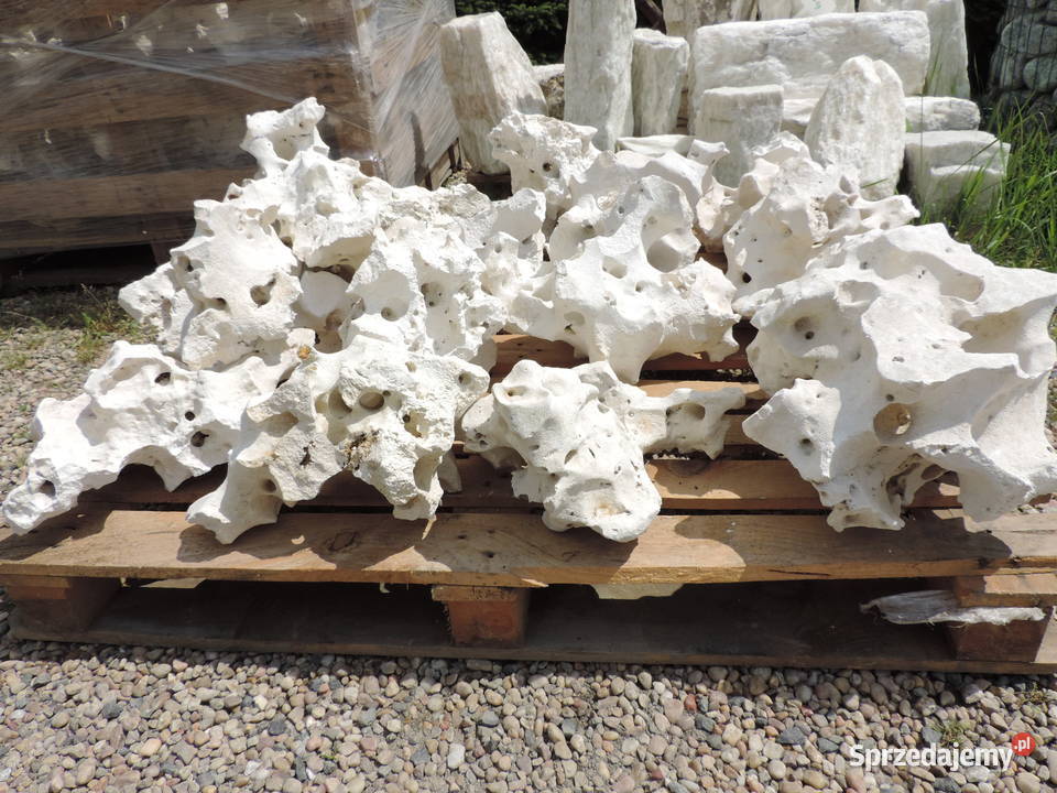 Wapień Filipiński Skała Bryła Kamień do akwarium Oświęcim