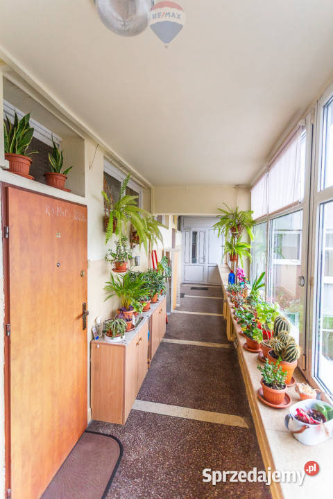 Kawalerka 33 m Plac Wolności Śródmieście