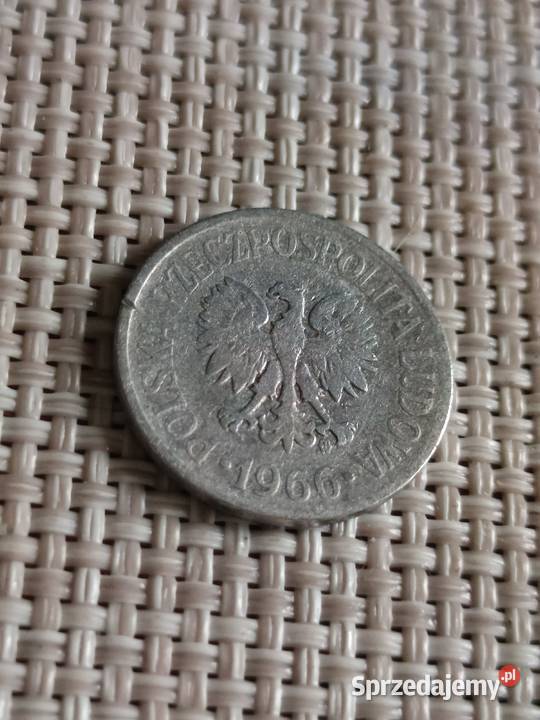 Sprzedam 20 gr 1966 r Chełm