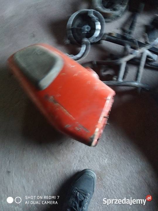 Mz trophymz jaskółka Bełchatów