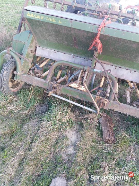 Prasa Korytnica