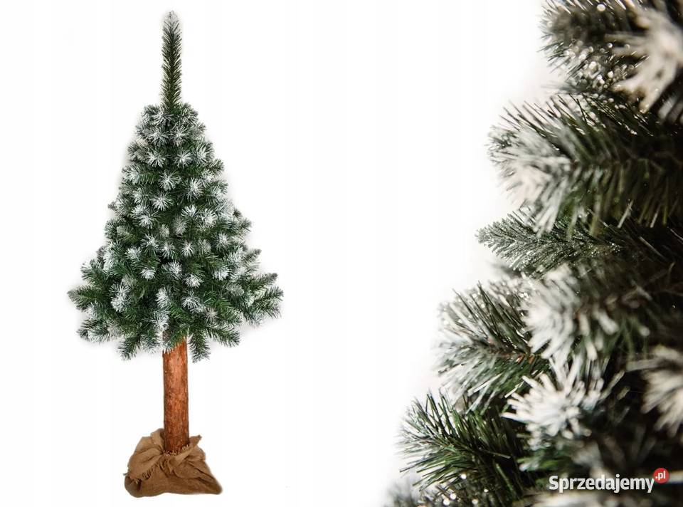 Sztuczna Choinka 180 na naturalnym pniu Kołbiel sprzedam