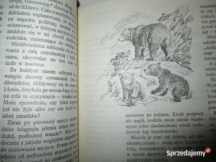 Głos przyrody t 12 przyroda edukacja nauka las Łódź sprzedam