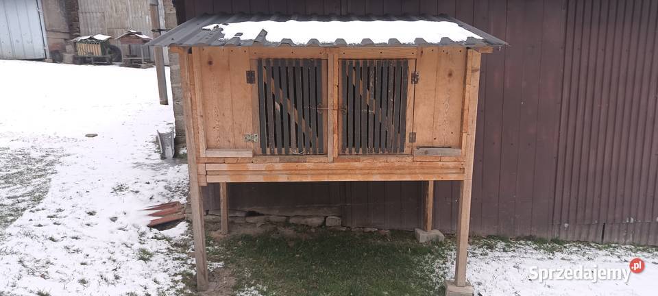 Klatka królików podkarpackie Sędziszów Małopolski