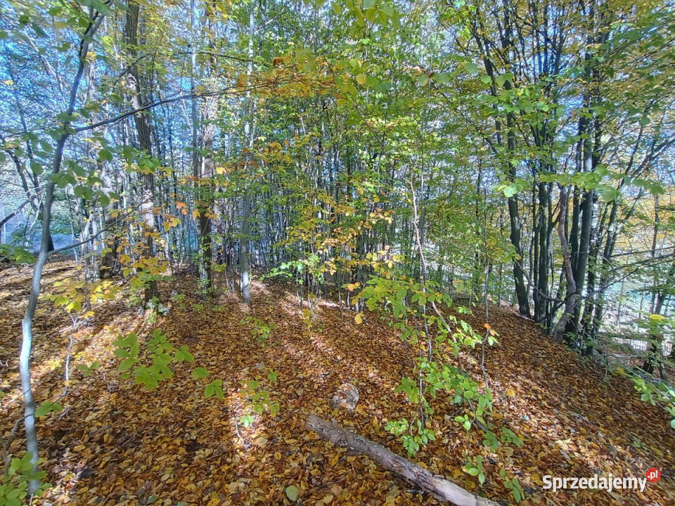 Działka Gromadzin 6253m2