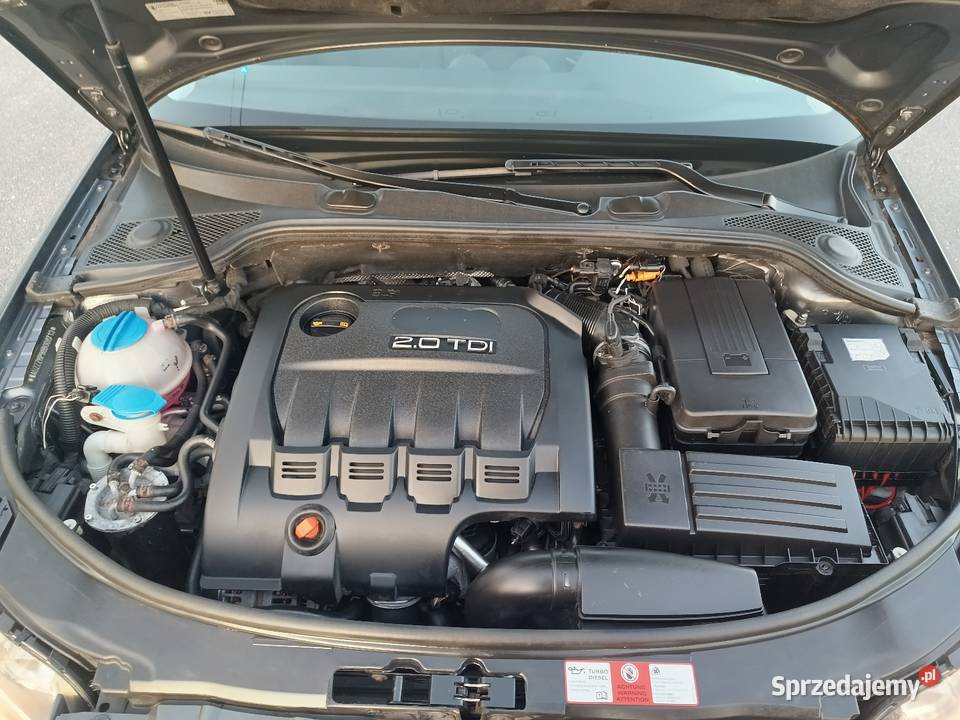 Audi A3 8P 190 CHIP 20 TDI diesel A3 Izbica Kujawska sprzedam