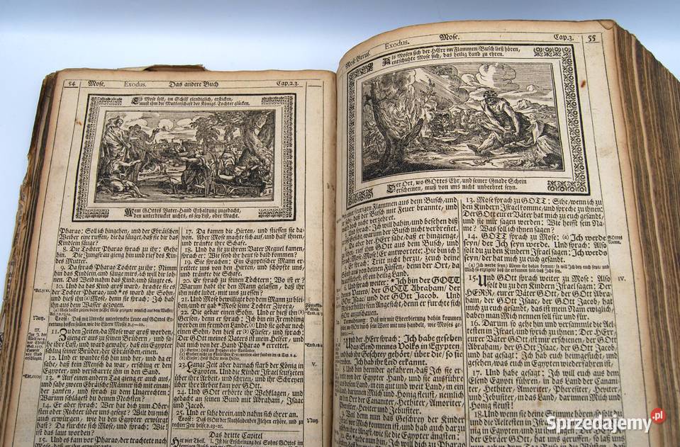 Biblia luterańska 1720 Biblia Lutra wielkopolskie Poznań