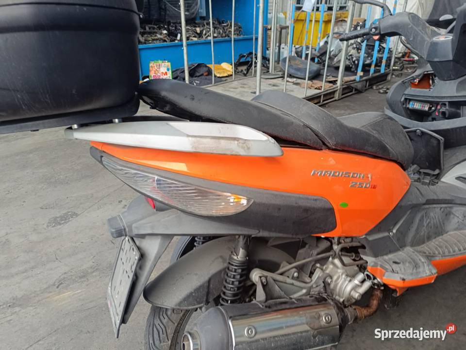 HONDA HORNET 600 PC36 03MALAGUTI MADISON 200 125 Warszawa