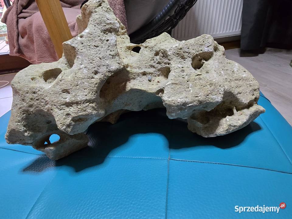 Akwarium ozdoby Ustroń sprzedam